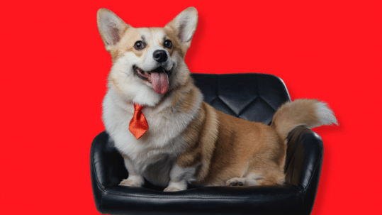 Quel est le rôle de la force de vente dans l'entreprise moderne ?