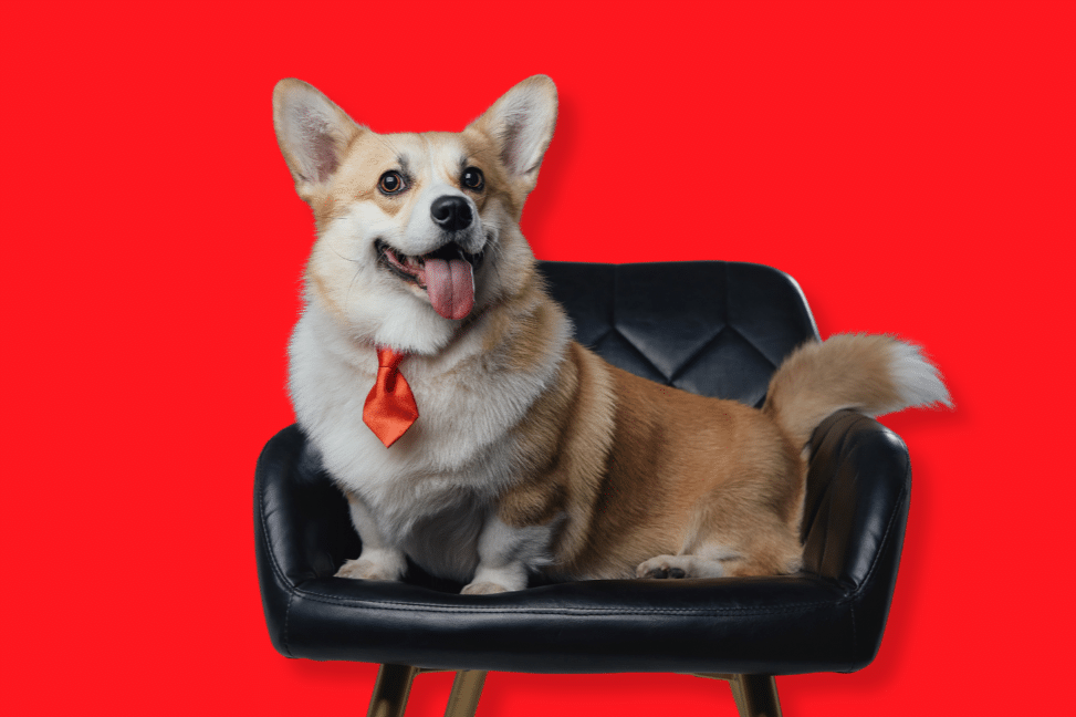 Quel est le rôle de la force de vente dans l'entreprise moderne ?